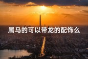 属马的可以带龙的配饰么—属马女孩龙字寓意：龙腾马跃，吉祥如意之名