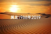 属龙1988年2019年运势