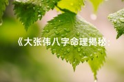 《大张伟八字命理揭秘：命运轨迹全解析》