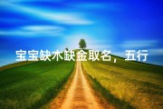 宝宝缺木缺金取名，五行补木补金吉祥名字推荐