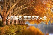 小孩起名 宝宝名字大全,《宝宝起名宝典：小孩名字大全集精选》