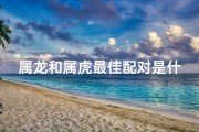属龙和属虎最佳配对是什么—属龙和属虎的相配吗