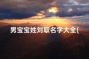 男宝宝姓刘取名字大全(姓刘的男孩名字霸气两字)