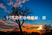 93年阴历命格揭秘：探寻你的命运之谜