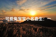 可爱兔宝宝小名嘉生：一个男孩的贴心命名
