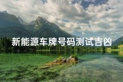 新能源车牌号码测试吉凶(新能源车牌号码测吉凶查询)