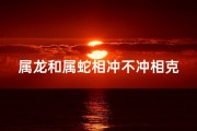 属龙和属蛇相冲不冲相克