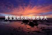 男宝宝姓苏如何取名字大全(苏姓男孩简单大气的名字)