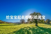 给宝宝起名都去(给男宝宝取名字大全)