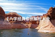 《八字经典命例解析大全：揭秘命运密码》