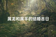 属龙和属羊的结婚吉日