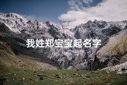 我姓郑宝宝起名字