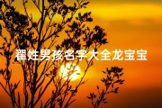 翟姓男孩名字大全龙宝宝取名