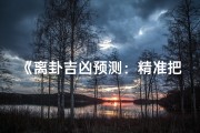 《离卦吉凶预测：精准把握运势奥秘》