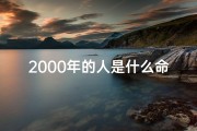 2000年的人是什么命格;2000年的人是什么命格呢