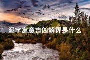 泥字寓意吉凶解释是什么、泥字寓意吉凶解释是什么意思