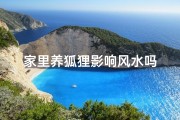 家里养狐狸影响风水吗