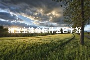 猪宝宝姓金起什么名字好;猪宝宝姓金起什么名字好听