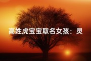 高姓虎宝宝取名女孩：灵动可爱的小姑娘