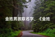 金姓男孩取名字、《金姓男孩：寓意美好，未来可期》