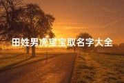 田姓男虎宝宝取名字大全(田姓男孩100分的名字有哪些 )