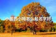 小孩的小鸣怎么起名字好