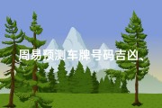 周易预测车牌号码吉凶、《易经车牌号码吉凶一测，运势揭秘》