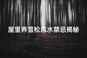 屋里养雪松风水禁忌揭秘