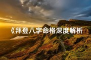 《拜登八字命格深度解析大全揭秘》