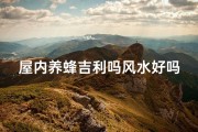 屋内养蜂吉利吗风水好吗-屋内养蜂风水佳：家居甜蜜风水秘籍
