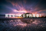 男宝宝小名王子的寓意？(《王子：为男孩赋予尊贵与梦想的名字》)