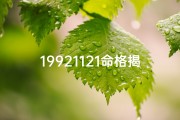19921121命格揭秘：探寻你的命运密码