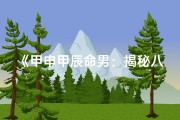 《甲申甲辰命男：揭秘八字命理之谜》