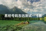 易经号码吉凶测试—《易经号码吉凶一测，揭秘命运密码》