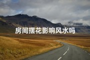 房间摆花影响风水吗