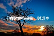 《偏财命格揭秘：财运亨通的八字奥秘》