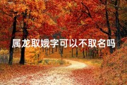 属龙取娥字可以不取名吗_属龙取娥字可行吗：探讨不取名的新风尚