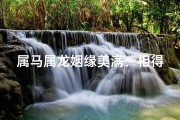 属马属龙姻缘美满：相得益彰的爱情奇迹