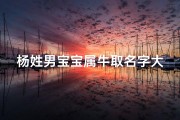 杨姓男宝宝属牛取名字大全—姓杨2021属牛男孩名字大全