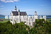 爸爸姓许妈妈姓刘怎么给宝宝取名-《许刘宝宝取名宝典：创意美名大盘点》