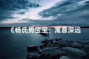 《杨氏男宝宝：寓意深远的好名字精选》