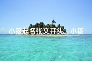 小孩起名张文开头、小孩起名张文开头的名字