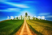 上海工程的去哪个寺庙,上海工程类大学排名