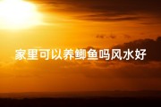 家里可以养鲫鱼吗风水好吗—《鲫鱼风水：家里养鲫鱼旺运指南》