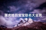 属虎姓吕宝宝取名大全男孩