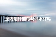 屋内能种蓝莓吗风水好吗-家里可以栽蓝莓树吗？