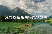 文竹放在东南吗风水好吗