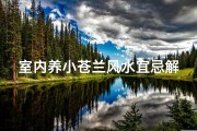 室内养小苍兰风水宜忌解析