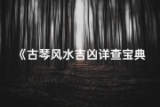 《古琴风水吉凶详查宝典，揭秘家居风水奥秘》