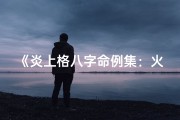 《炎上格八字命例集：火象人生奥秘解析》